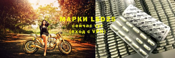 дурь Инта