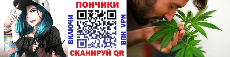 Купить закладки  Пересвет  Бошки Шишки конопля 